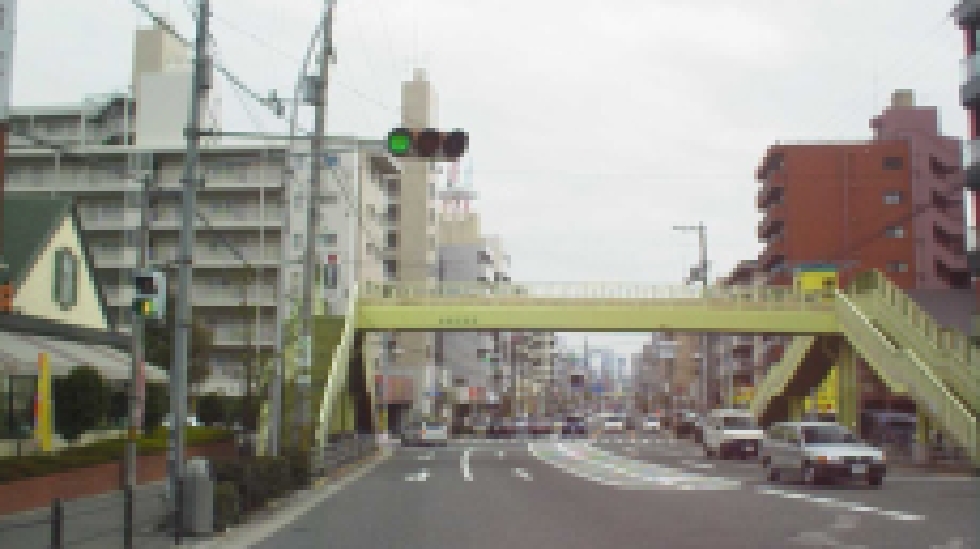 年12回の更新で、道の変化を見逃さない
