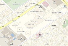 詳細地図 (1/2,500)